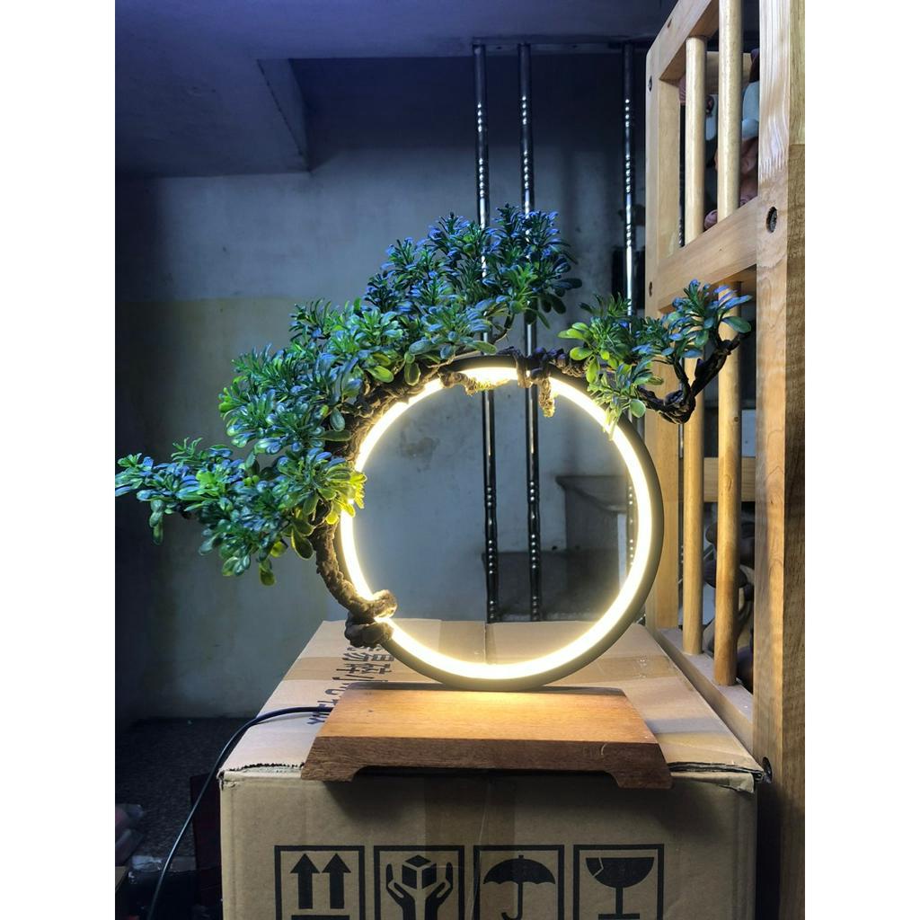 kệ đèn led đặt tượng, mô hình cỡ nhỏ ( giá chưa bao gồm tượng)-đường ...