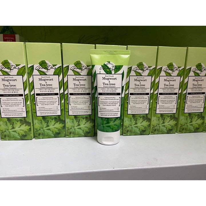 Sữa rửa mặt “ 2 trong 1” Mugwort & Tea Tree Foam Cleanser | Shopee Việt Nam