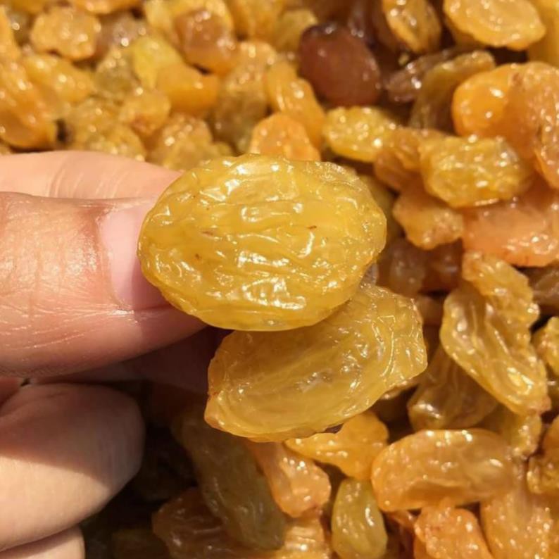 NHO LION VÀNG SẤY DẺO KHÔNG ĐƯỜNG LON 500gr[FREE SHIP] TỪ ĐƠN 50K, [Loại Đặc Biệt] Hàng ngon nhà làm