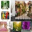 Rèm tắm họa tiết 3d sống động với vải Polyester chống thấm nước cho phòng tắm thanh lịch