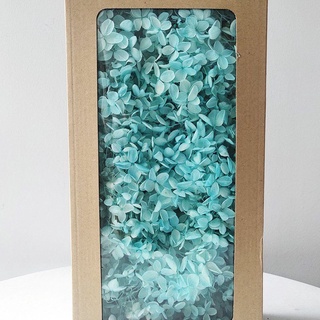 Hoa cẩm tú cầu khô dùng trang trí, làm resin, nến thơm...