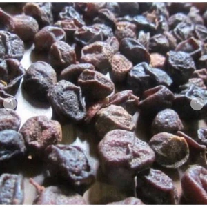 500gam quả mắc mật khô làm gia vị