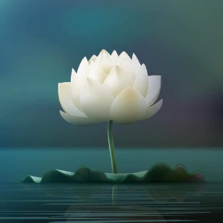 ngocanh7282