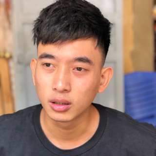 viettri01