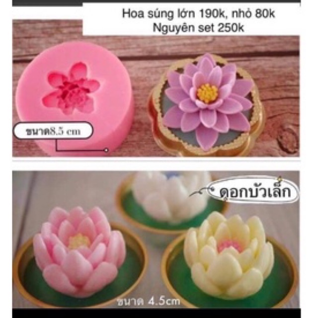 Set hoa súng
