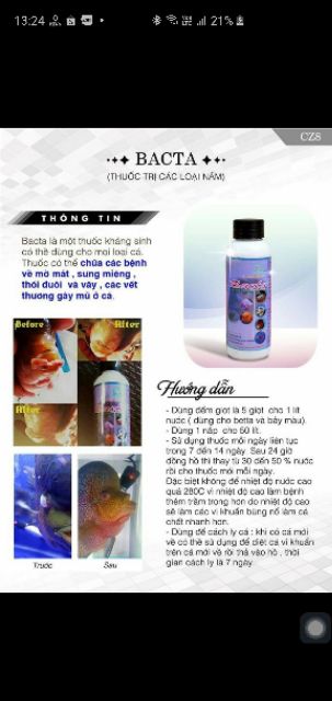 BACTA CZ8 dùng NẤM CHO TẤT CẢ LOẠI CÁ THÁI LAN 100ML