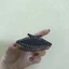 COMBO 2 RỌ ĐỰNG CÀO DẾ CHO CHIM