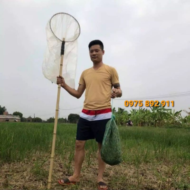 VỢT CÀO CÀO - CHO CHIM CẢNH ĂN