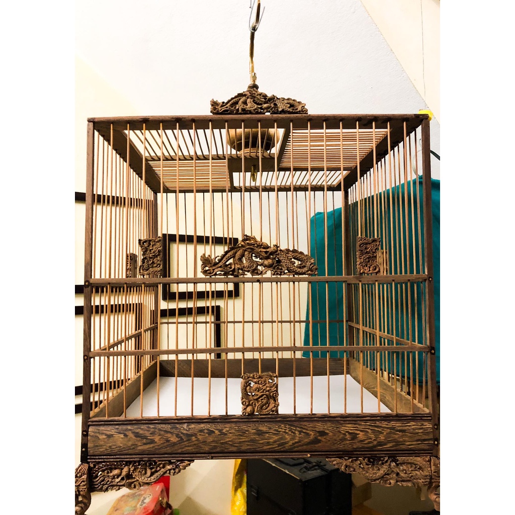 Kỹ thuật nuôi chim chào mào và cách khắc phục tật xấu của chúng - MVietQ