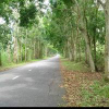 thanhthaonguyenthi707