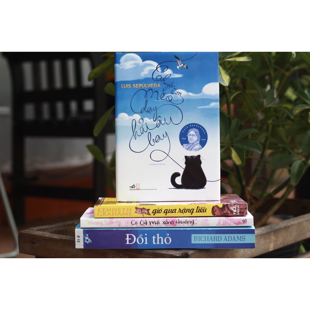 Ảnh Sách - Chuyện Con Mèo Dạy Hải Âu Bay - Nhã Nam 4