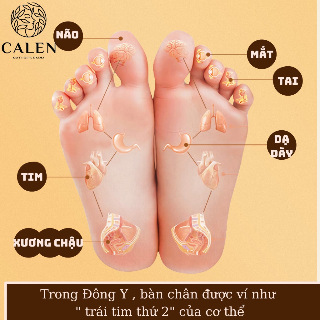 Ngâm chân thảo dược Calen giúp thải độc, bài hàn, lưu thông khí huyết, an thần ngủ ngon, giảm đau xương khớp và giảm cân