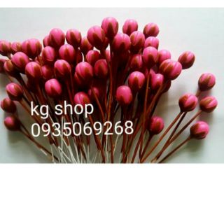 Nụ đào đậm(100 nụ) .Sản phẩm loại 1