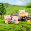 Set 6 mô hình heo béo mini dễ thương trang trí bàn làm việc, tủ sách, quà tặng, tiểu cảnh, set heo số 2