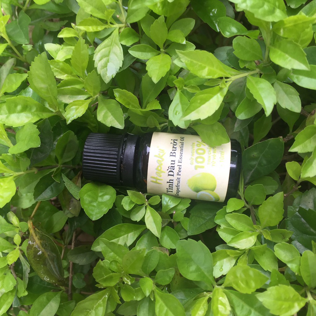 Ảnh Tinh Dầu Bưởi Nguyên Chất Hapaku Kích Thích Mọc Tóc, Cung Cấp Dưỡng Chất 10ml 3
