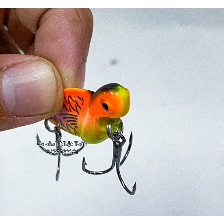 CÁ SẮT MỒI CÂU CÁ CÂU LURE OCEAN LURE 10G