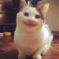 dpthuyngoc