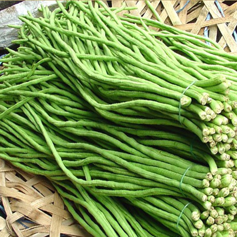 🍀Hạt Giống Đậu Đũa Tím🍀 Siêu Quả Gói 10 Gam Hạt cực kỳ năng suất