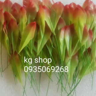 Combo lá nụ mai