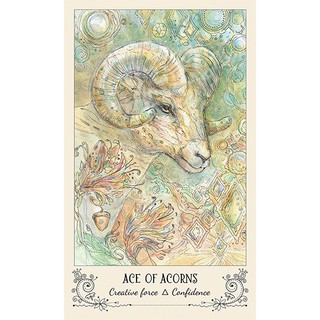 Bộ bài Spiritsong Tarot (Mystic House Tarot Shop) - Bài Gốc Authentic Chính Hãng 100%