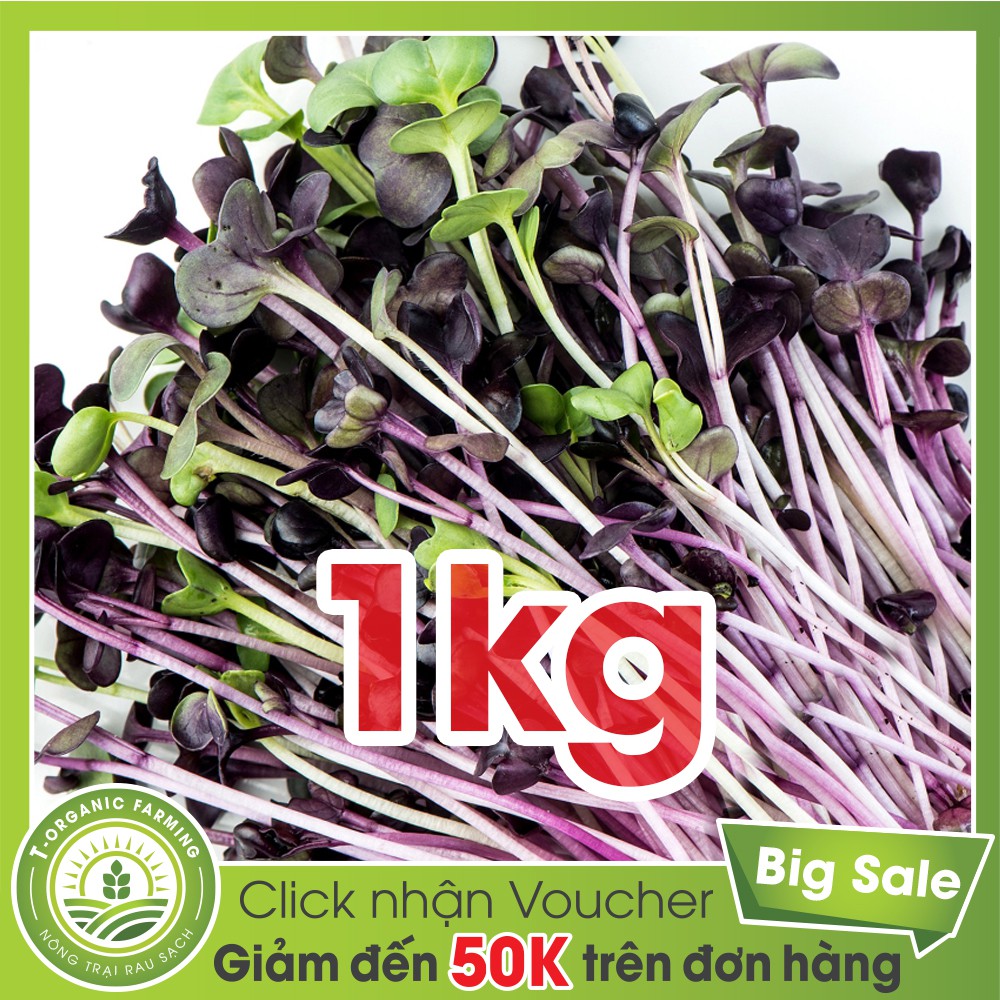 Hạt Giống Rau Mầm Cải Tím Malady 1kg - Bán Buôn | Shopee Việt Nam