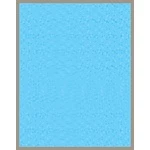 [Chính Hãng] Màng lọc bụi mịn cho Máy lọc không khí Coway Storm AP-1516D