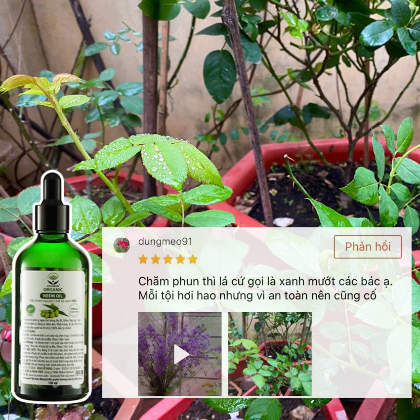 Ảnh Dầu neem oil DOCNEEM hữu cơ phòng trị sâu bệnh hoa hồng, phong lan, cây cảnh, nguyên chất ép lạnh, hàng chính hãng 100ml 1