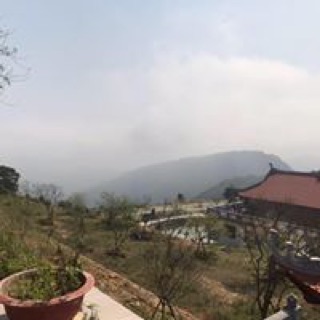lethithanhhang85
