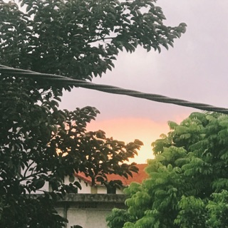 nguyen_thanh04