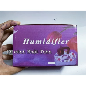 MÁY PHUN TẠO KHÓI HỒ CÁ NON BỘ KẾT HỢP ĐÈN NHIỀU MÀU