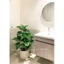 CÂY TRẦU BÀ MẪU MỚI - 1m2 - CÂY GIẢ DECOR