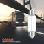 Combo 10 Bóng Đèn Cana Dài OSRAM Original C5W 24V 10W