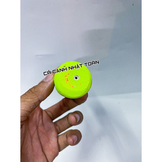 PHAO CÂU CÁ, PHAO TRỤ TRƯỢT XUYÊN TÂM 11CM