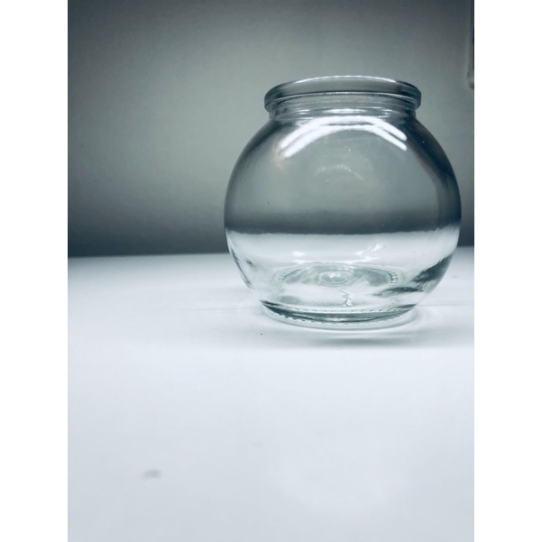Lọ thuỷ tinh trồng cây mini, tiểu cảnh, terrarium, thuỷ sinh, bán cạn