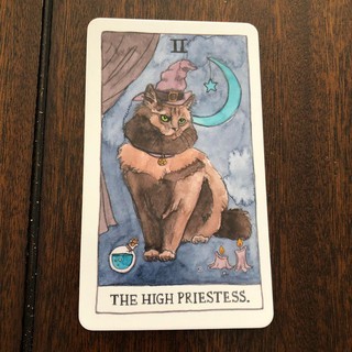 Bộ Bài Cat Tarot (Mystic House Tarot Shop) - Bài Gốc Authentic Chính Hãng 100%