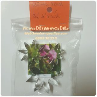 KHUÔN CẮT LÀM ĐÀI HOA 8 CÁNH , 5 cánh ,làm CÚC CÁNH LIỀN , ĐÀI DÂU TÂY
