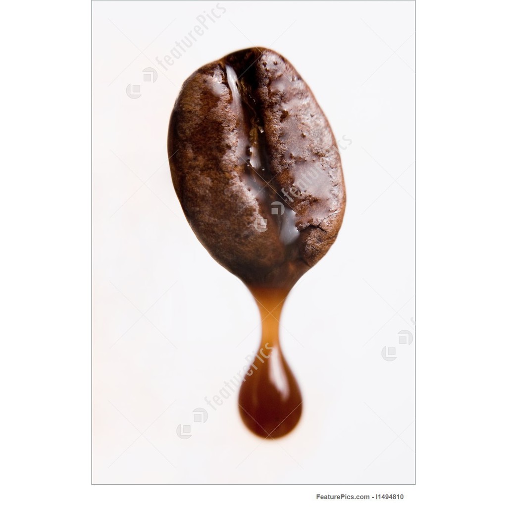 Tinh chất Rayners hương Cà phê - Hương Coffee 28ml - PL87