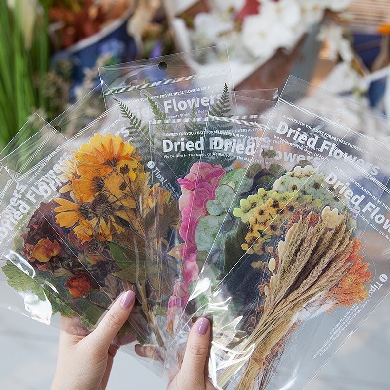 Set Sticker Hoa Lá Khô - Dried Flowers Sticker ép nhựa PVC - Hình ...