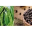 500G TIÊU ĐEN LOẠI CHẮC HẠT, THƠM NỒNG LOẠI 1