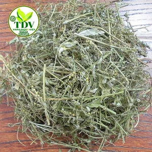500 gam Diệp hạ châu sấy khô - Hàng công ty Thảo Dược Việt