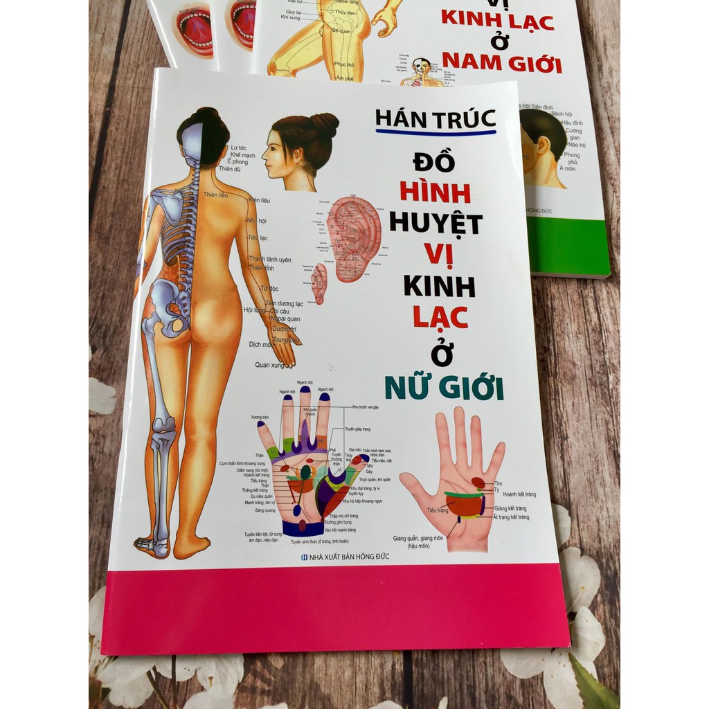 Ảnh Sách - Đồ hình huyệt vị kinh lạc ở nữ giới - Tác giả Hán Trúc (Minh Lâm) 1