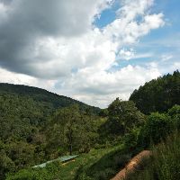 vohonglinh90