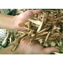 Sâm Cau Đỏ khô Rừng Tây Bắc đẹp chuẩn 1Kg