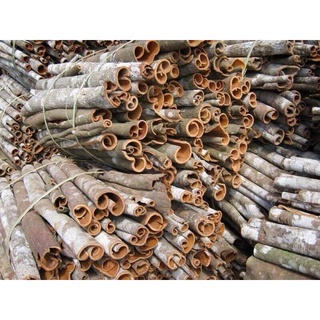 Vỏ quế khô chưa cạo vỏ (thơm, cay tự nhiên)