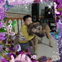 quy.trinh77