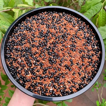 Trà Gạo Lứt Huyết Rồng - Trà Gạo Lứt Đậu Đen Xanh Lòng Hỗ Trợ Giảm Cân, Giải độc - Thanh Lọc Cơ Thể