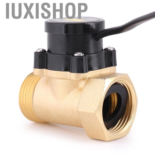 [Iuxishop]Công Tắc Cảm Biến Điều Khiển Dòng Chảy Cho Máy Bơm Nước Ixishop Ht-800 G1 220v 200w