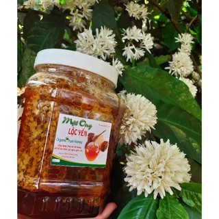 1lít Mật ong cà phê nguyên chất Dak Lak - Mật ong thiên nhiên
