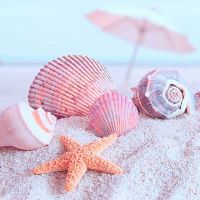 hung_uyen2506.