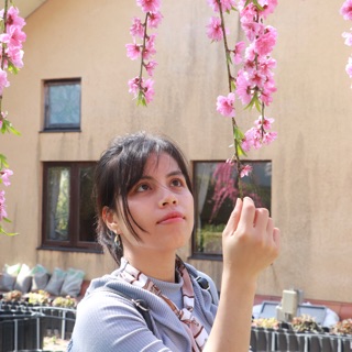 phamphuong210691